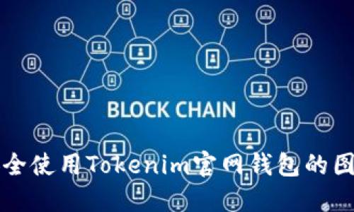 如何安全使用Tokenim官网钱包的图标指南