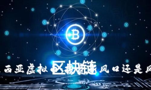 探索马来西亚虚拟币：投资新风口还是风险陷阱？