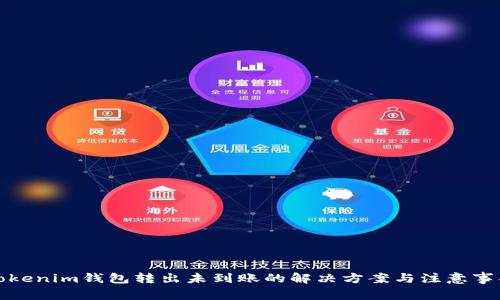 Tokenim钱包转出未到账的解决方案与注意事项