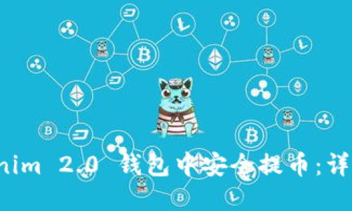 如何在 Tokenim 2.0 钱包中安全提币：详细指南与技巧