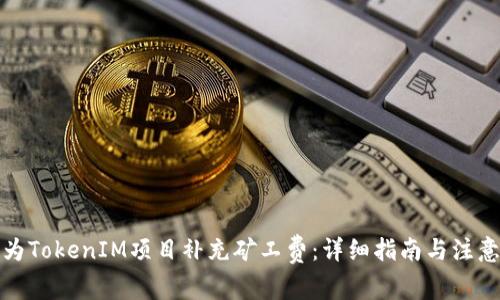 如何为TokenIM项目补充矿工费：详细指南与注意事项