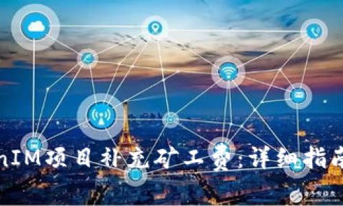 如何为TokenIM项目补充矿工费：详细指南与注意事项