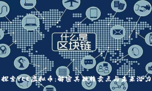 探索YEE虚拟币：解密其独特卖点与未来潜力