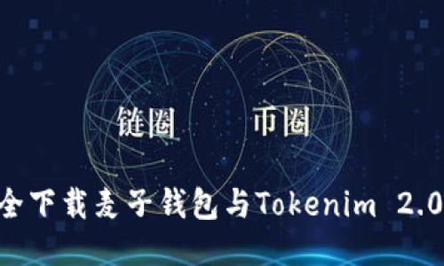 国内用户如何安全下载麦子钱包与Tokenim 2.0钱包：全方位指南