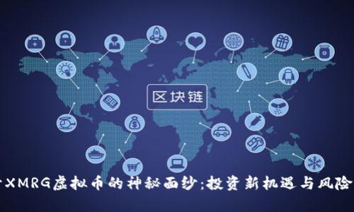 揭开XMRG虚拟币的神秘面纱：投资新机遇与风险分析