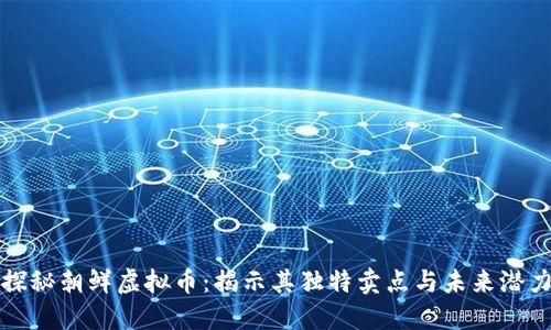 探秘朝鲜虚拟币：揭示其独特卖点与未来潜力