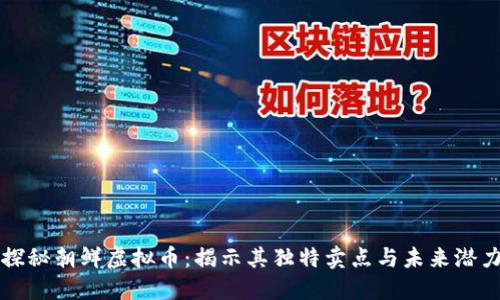 探秘朝鲜虚拟币：揭示其独特卖点与未来潜力