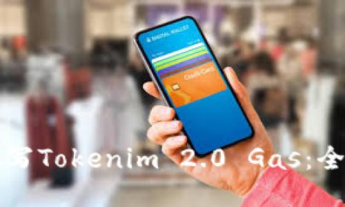如何填写Tokenim 2.0 Gas：全面指南