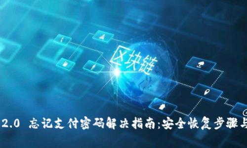Tokenim 2.0 忘记支付密码解决指南：安全恢复步骤与注意事项