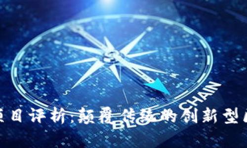 Tokenim项目评析：颠覆传统的创新型区块链平台