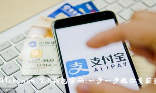 如何找回Tokenim 2.0钱包密码：一步一步教你重获资产安全