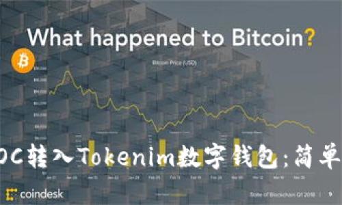 如何将SINOC转入Tokenim数字钱包：简单指南与技巧
