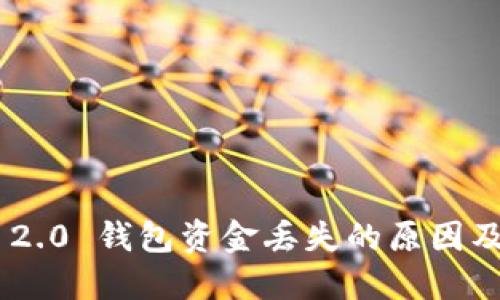 Tokenim 2.0 钱包资金丢失的原因及解决方案