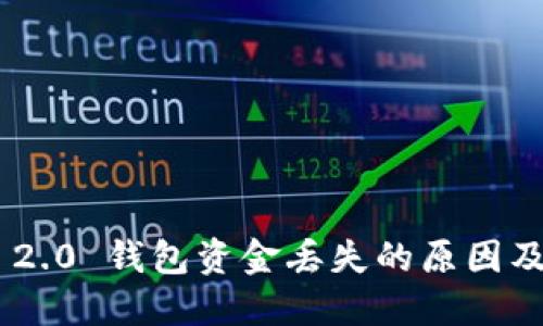 Tokenim 2.0 钱包资金丢失的原因及解决方案