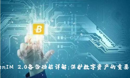 TokenIM 2.0备份功能详解：保护数字资产的重要工具