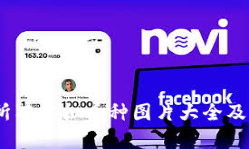 全面解析：所有虚拟币种图片大全及其独特特征