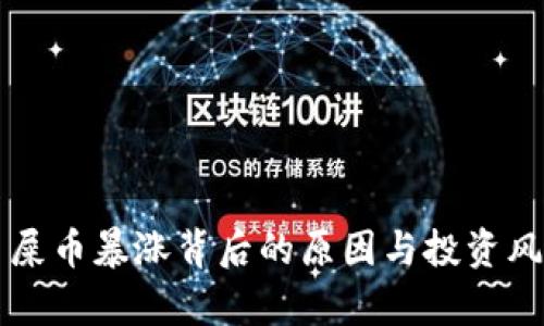 虚拟币屎币暴涨背后的原因与投资风险分析