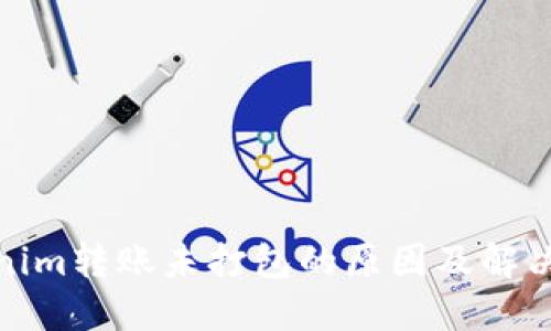 Tokenim转账未打包的原因及解决技巧