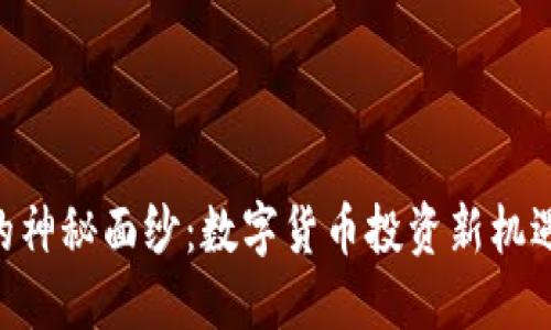 揭开BXC币的神秘面纱：数字货币投资新机遇与潜在风险