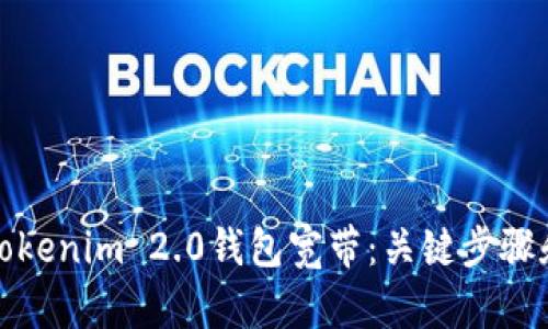 如何获取Tokenim 2.0钱包宽带：关键步骤和技巧详解