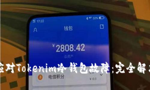 如何应对Tokenim冷钱包故障：完全解决指南