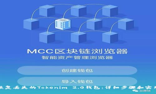 如何恢复丢失的Tokenim 2.0钱包：详细步骤和实用技巧