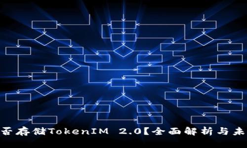 BSV能否存储TokenIM 2.0？全面解析与未来展望