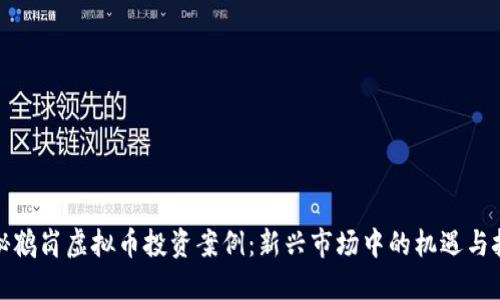 揭秘鹤岗虚拟币投资案例：新兴市场中的机遇与挑战