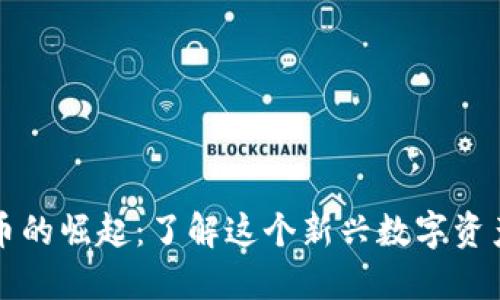 白金币虚拟币的崛起：了解这个新兴数字资产的独特之处