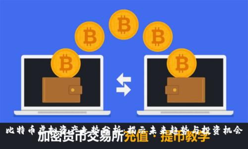 比特币虚拟资产走势分析：揭示未来趋势与投资机会