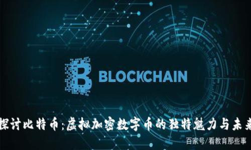 深入探讨比特币：虚拟加密数字币的独特魅力与未来愿景