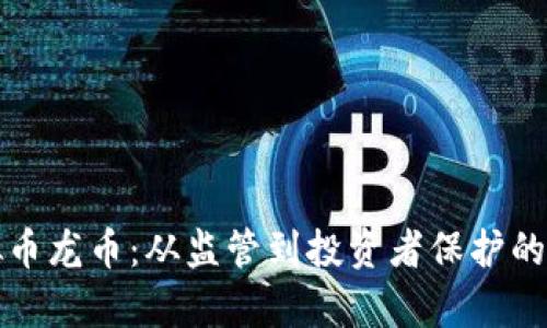 打击虚拟币龙币：从监管到投资者保护的全景分析