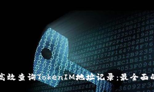 如何高效查询TokenIM地址记录：最全面的指南