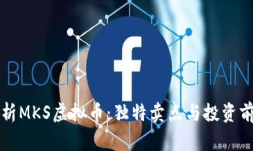 深入解析MKS虚拟币：独特卖点与投资前景分析