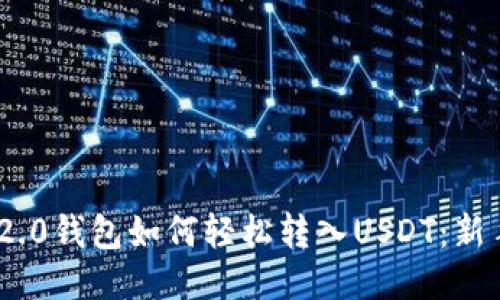 Tokenim 2.0钱包如何轻松转入USDT：新手必读指南