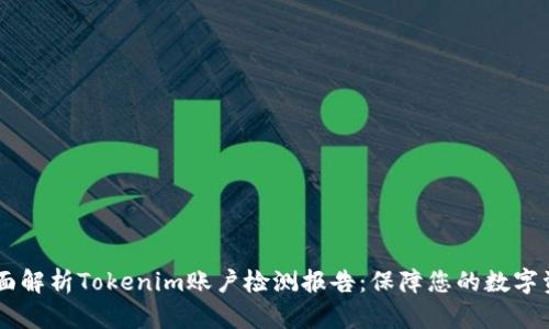 biati全面解析Tokenim账户检测报告：保障您的数字资产安全