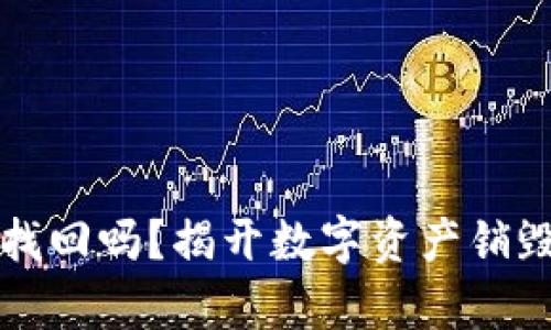 虚拟币销毁还能找回吗？揭开数字资产销毁的真相与可能性