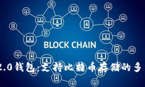Tokenim 2.0钱包：支持比特币存储的多重创新功能