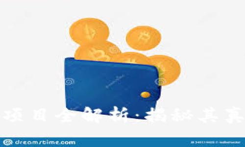 国内Tokenim项目全解析：揭秘其真实面貌与潜力