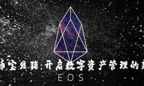 虚拟币宝贝猪：开启数字资产管理的新篇章