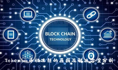 Tokenim币被冻结的原因及解决方案分析