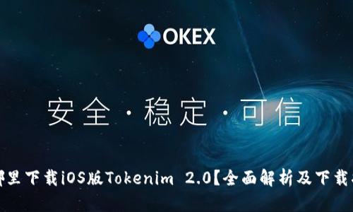 在哪里下载iOS版Tokenim 2.0？全面解析及下载指南