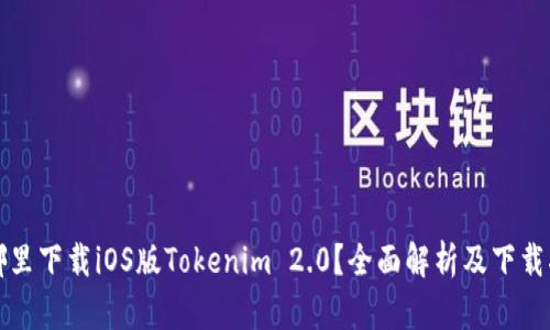 在哪里下载iOS版Tokenim 2.0？全面解析及下载指南