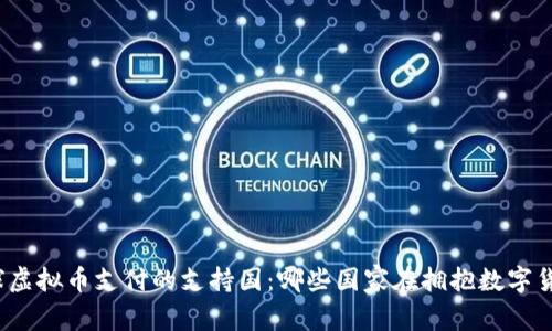 全球虚拟币支付的支持国：哪些国家在拥抱数字货币？