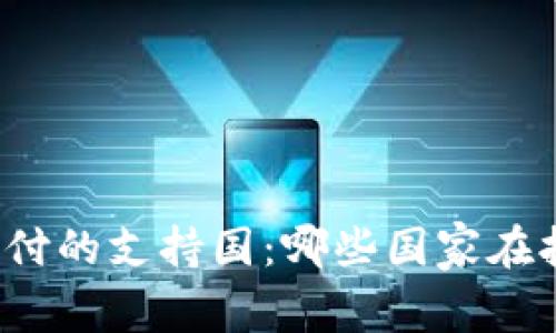 全球虚拟币支付的支持国：哪些国家在拥抱数字货币？