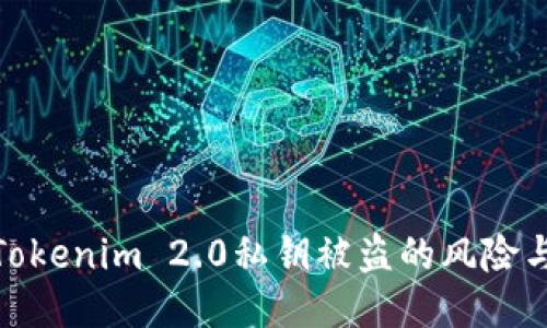 如何应对Tokenim 2.0私钥被盗的风险与补救措施