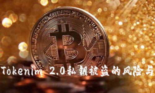 如何应对Tokenim 2.0私钥被盗的风险与补救措施