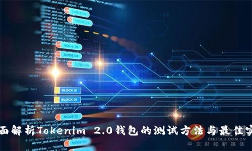全面解析Tokenim 2.0钱包的测试方法与最佳实践