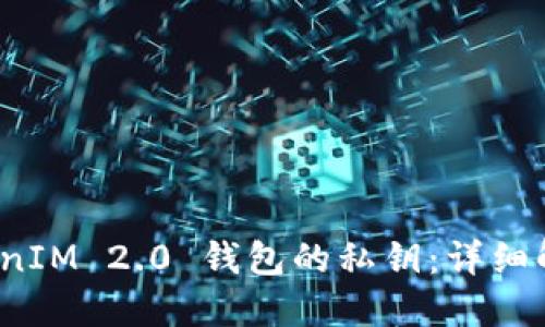 如何找到 TokenIM 2.0 钱包的私钥：详细解读与安全策略