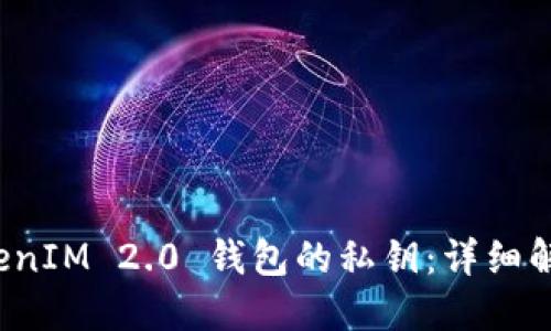 如何找到 TokenIM 2.0 钱包的私钥：详细解读与安全策略